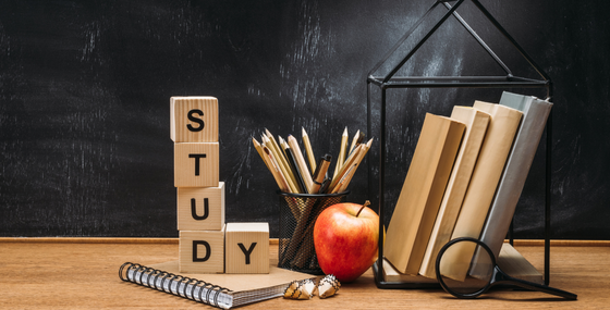 How to Find Motivation to Study as an Adult)