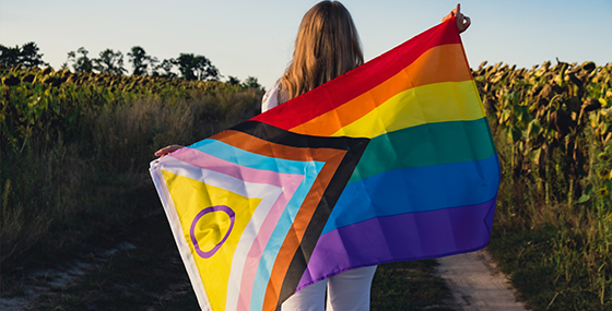 What Does LGBTQ Flag Mean?)